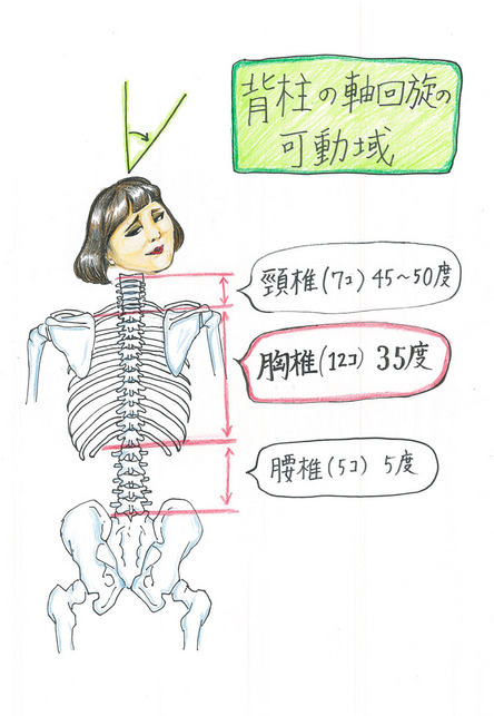 v007.jpgのサムネイル画像